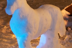 Snowhorse1ISO