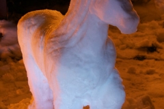 Snowhorse2ISO