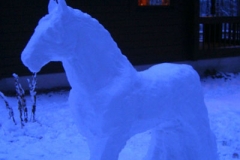 Snowhorse3ISO